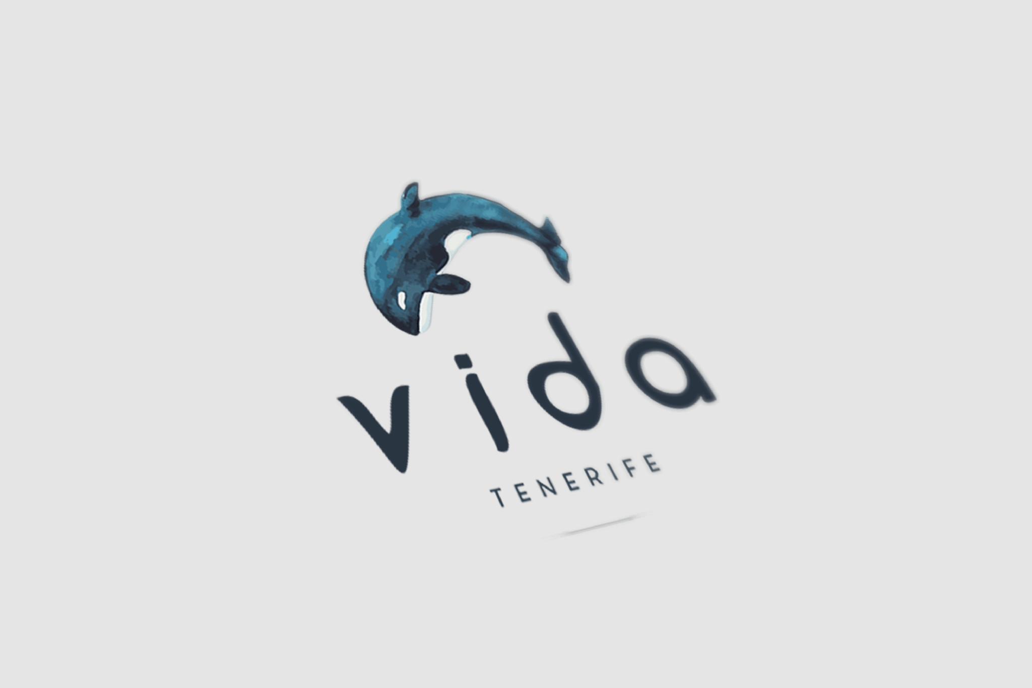 Logotipo principal vida